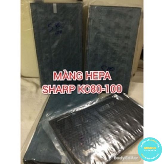 Màng Lọc HEPA  + THAN Máy Lọc Sharp  - S80 S100